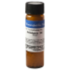 Rhus Tox Homeopathic Remedy